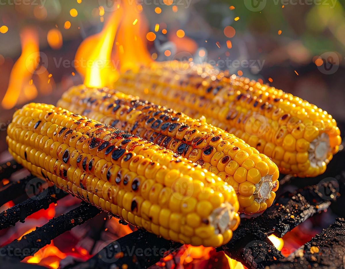 Sweet Corn